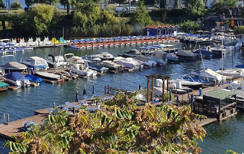 Austrian Client Fully Loaded with 24V 260AH Batteries and Battery Displays, Ready for This Year's Operations